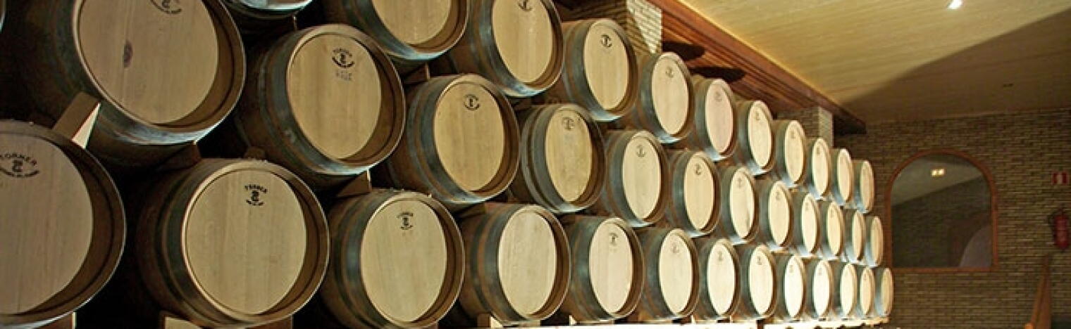 Virgen del Aguila - Bodegas Paniza