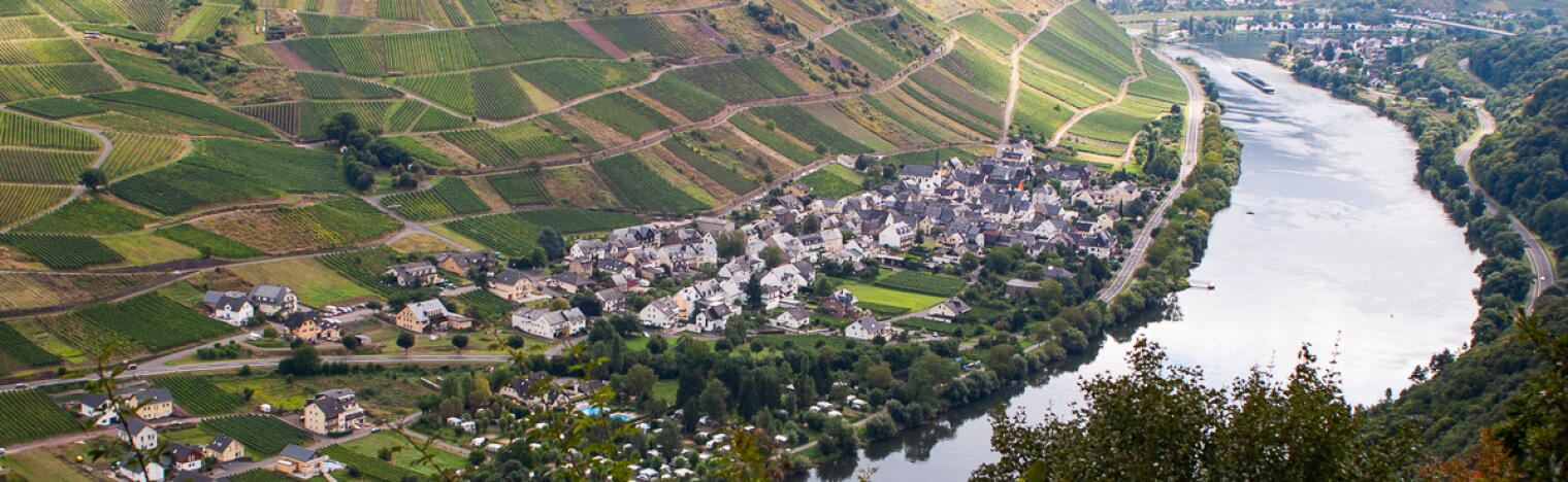 Weingut Cowell