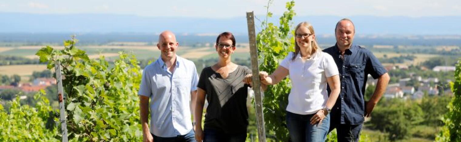 Weingut Knöll & Vogel