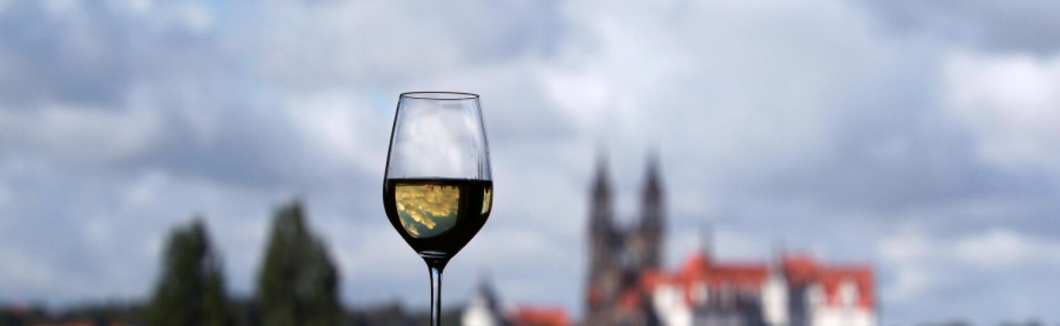 Winzergenossenschaft Meissen