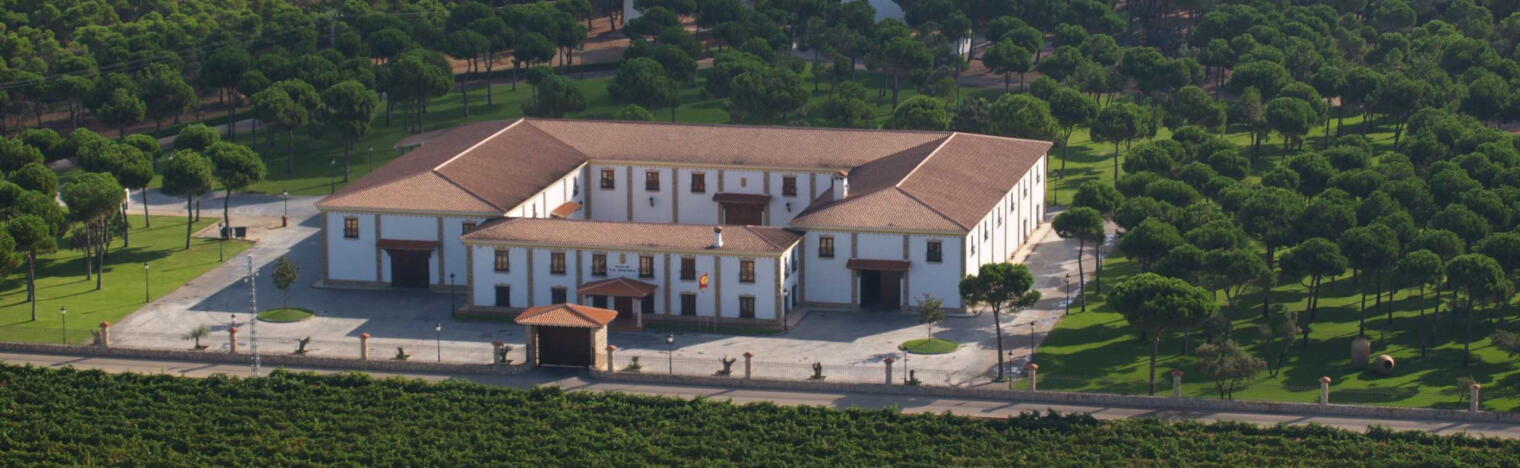 Weingut Pago de la Jaraba