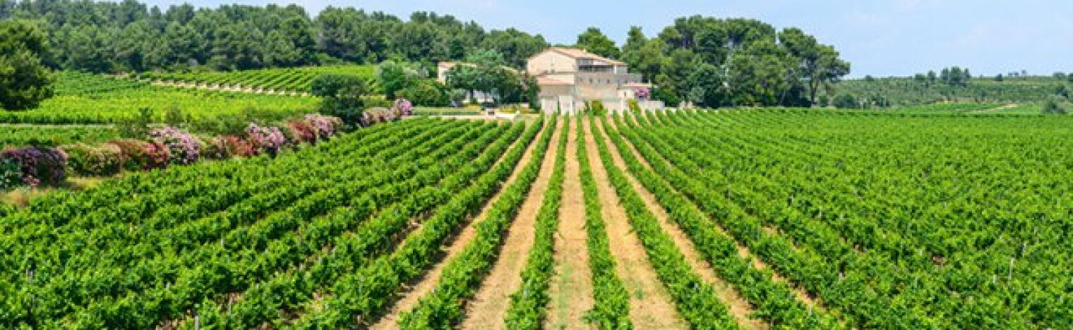 Weingut Maison Lavelle