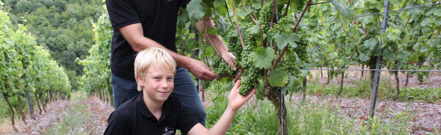 Weingut Michael Hutmacher