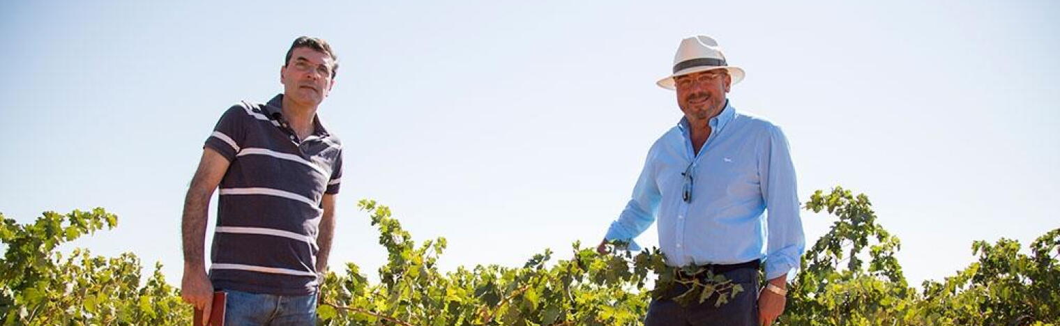 Weingut Bodegas Volver