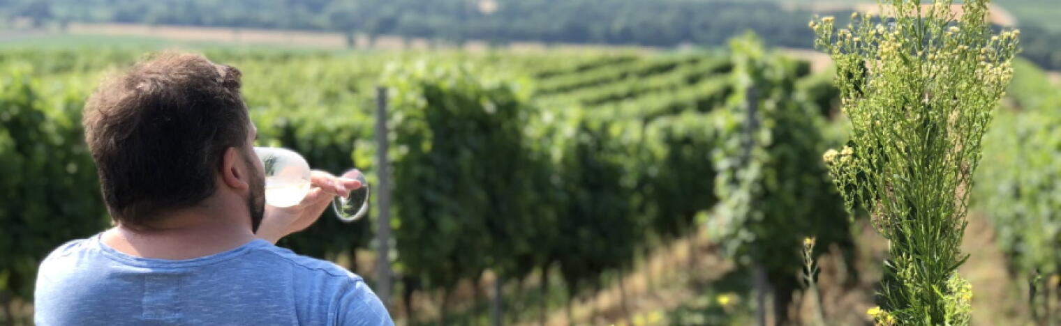 Weingut Mankel