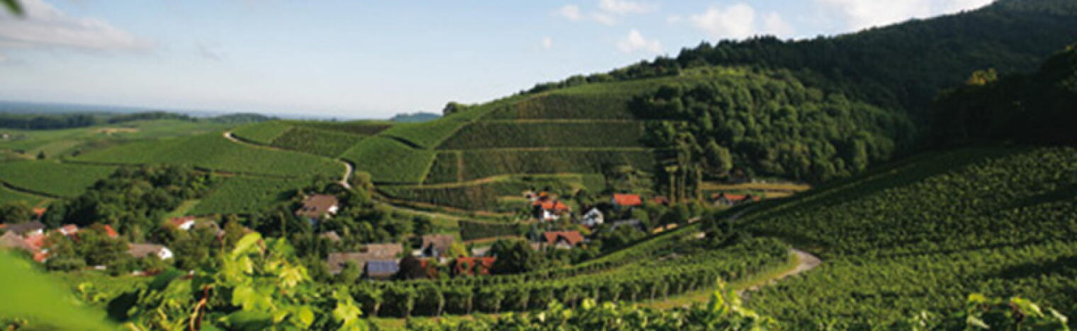 Weingut Knab