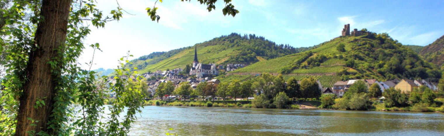 Weingut Edgar Comes