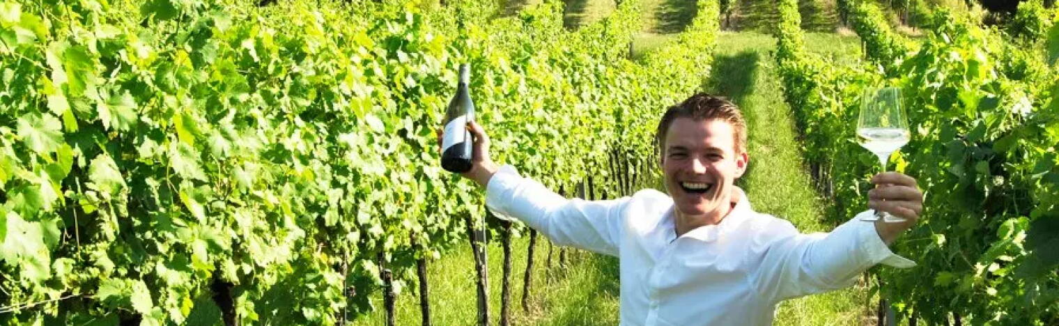 Weingut Pfaffl