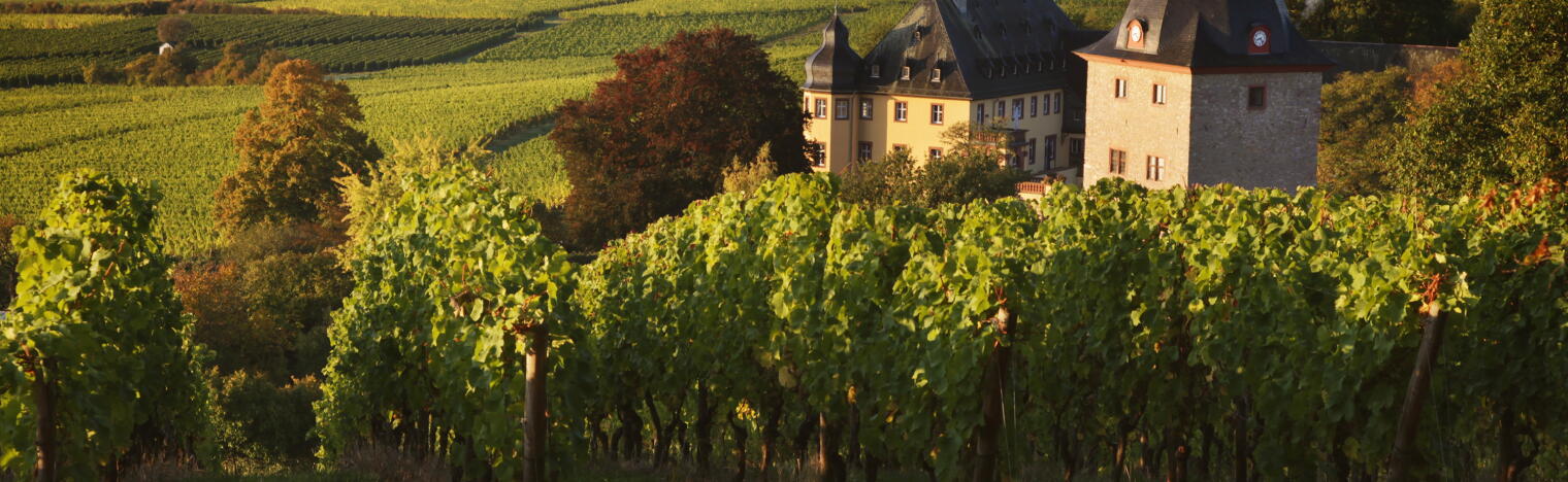 Weingut Schloss Vollrads