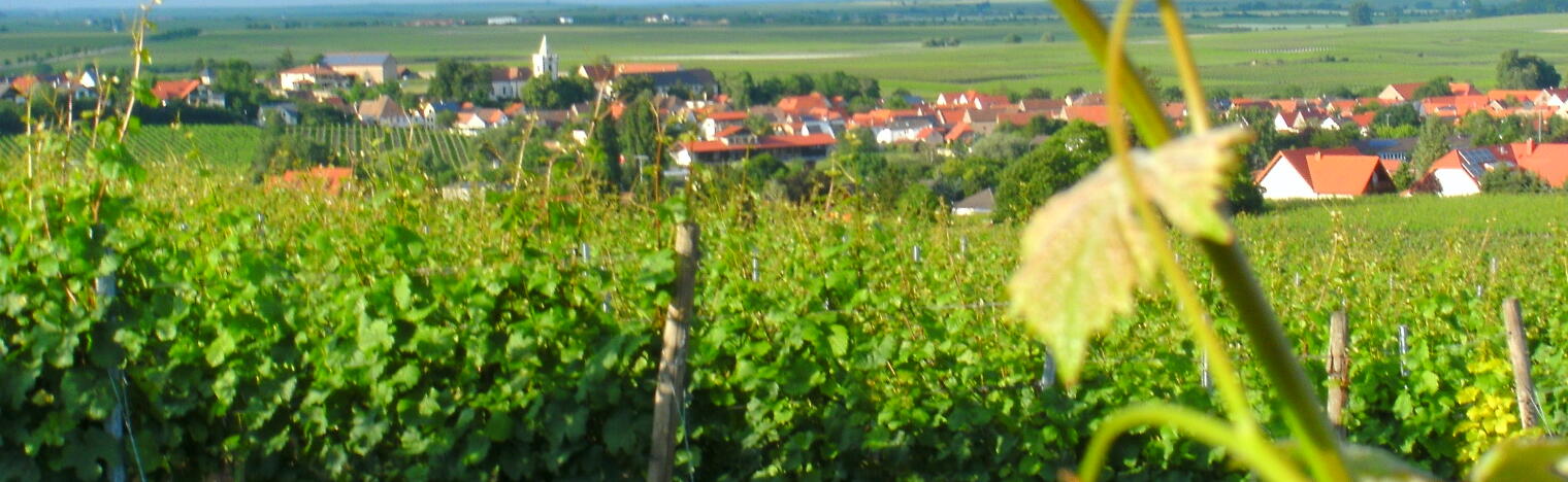 Weingut Böll-Spieß