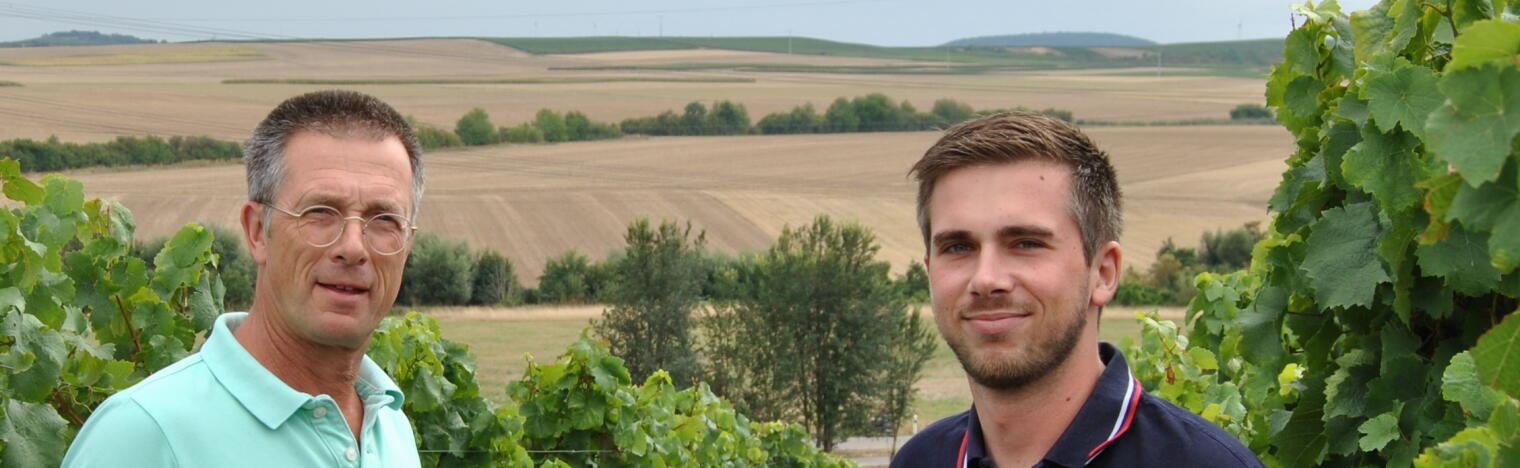 Weingut Mees