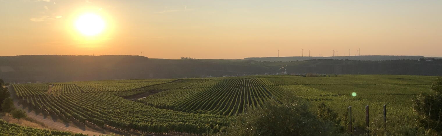 Weingut Georg Schneider