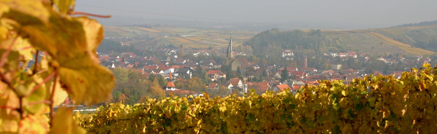 Weingut Ihle