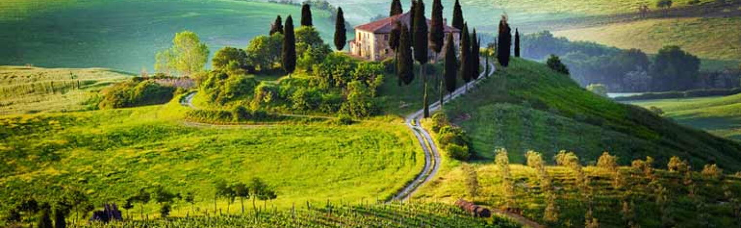 Weingut Tenuta di Vignole