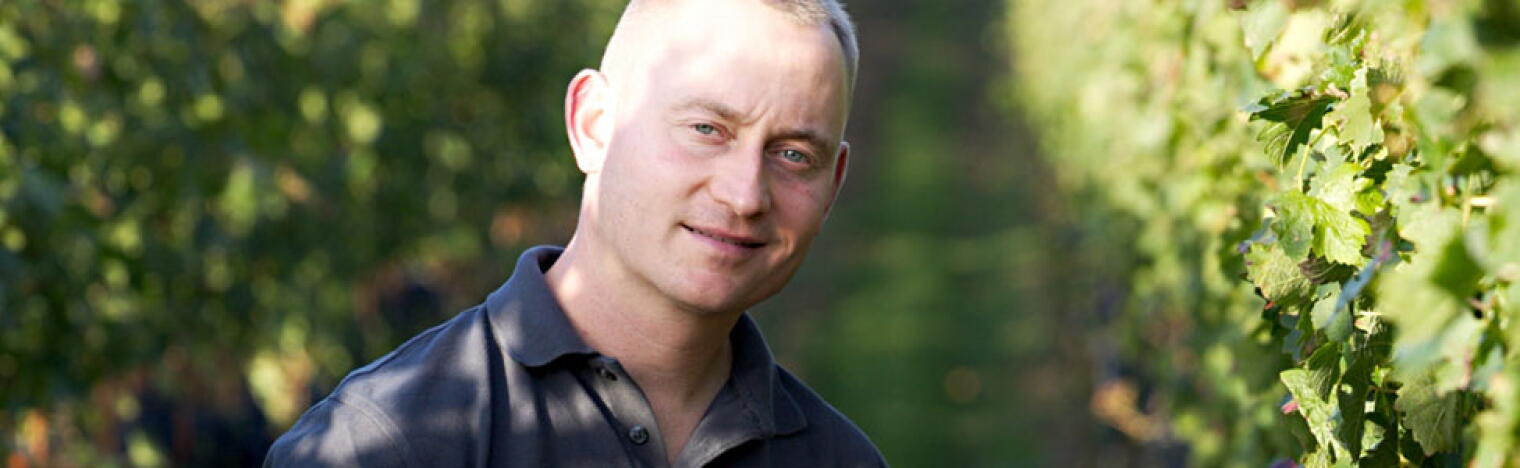 Weingut Michael Schaurer