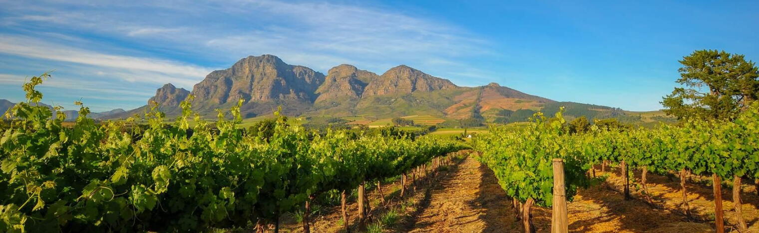 Weingut African Pride Wines