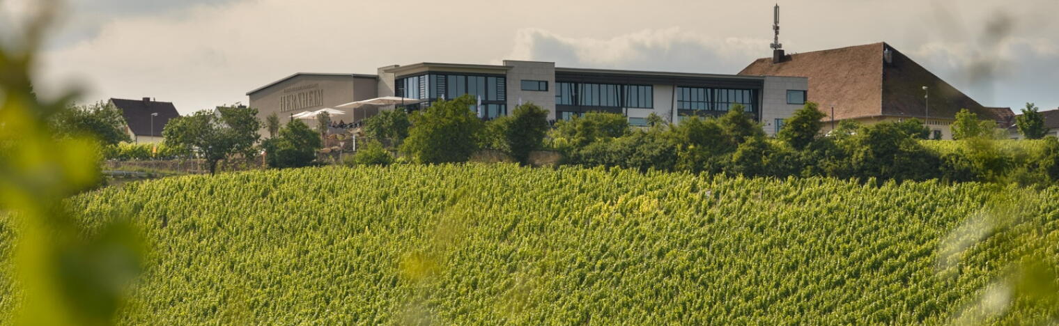 Winzergenossenschaft Herxheim am Berg