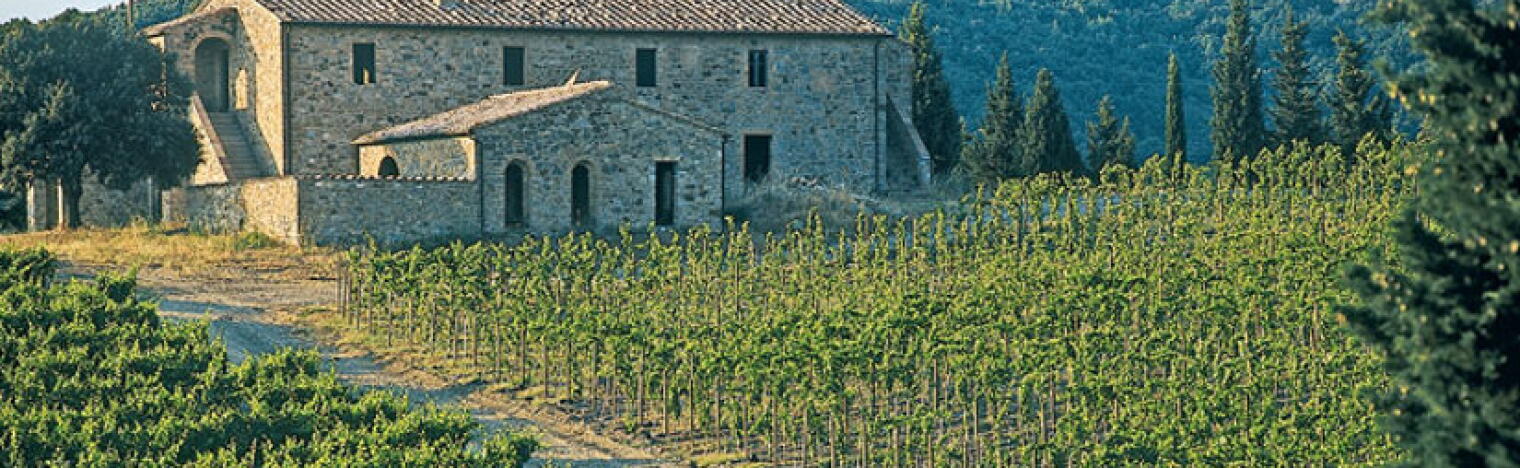 Weingut Le Contesse