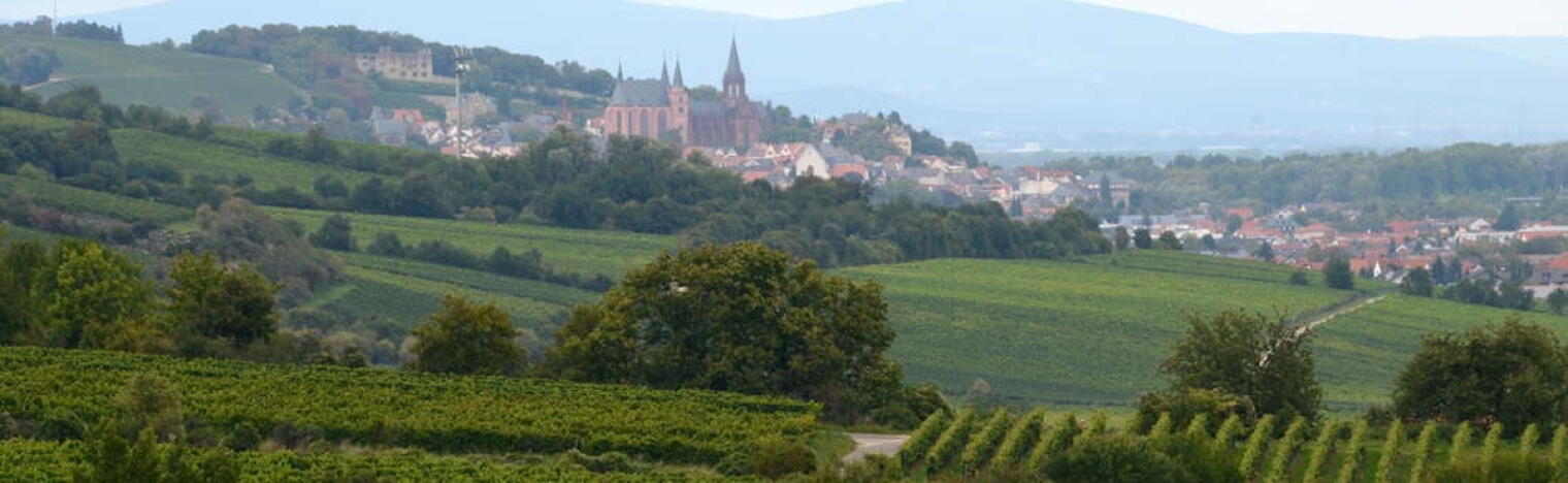 Wein- & Sektgut Rosenhof (Pfalz)