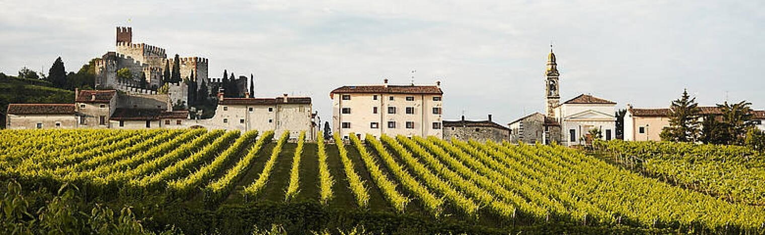 Weingut Martino Biscardo