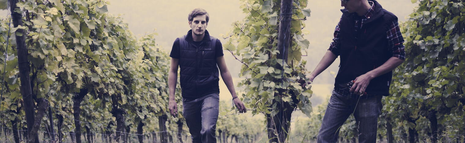 Weingut Siegloch