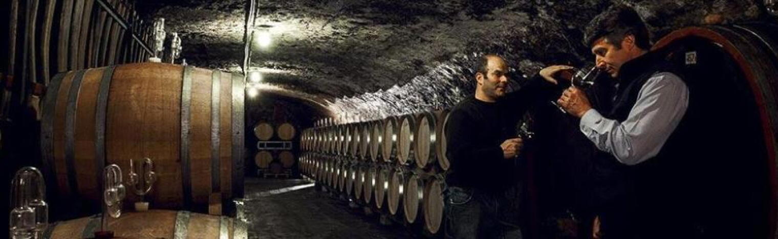 Weingut Schulze