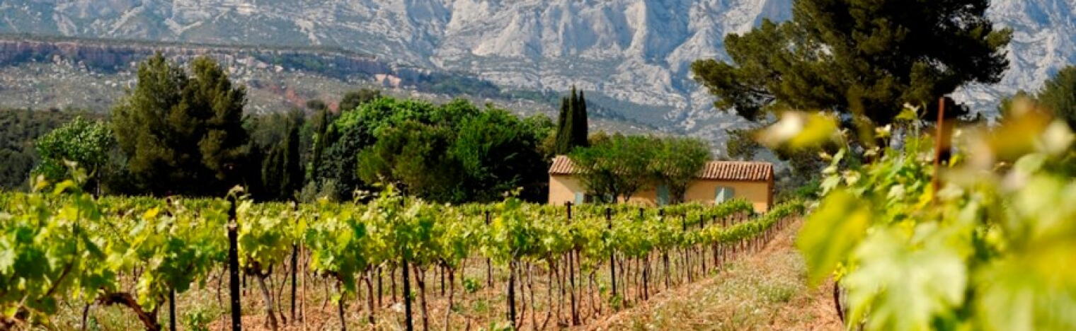 Weingut Fortant de France
