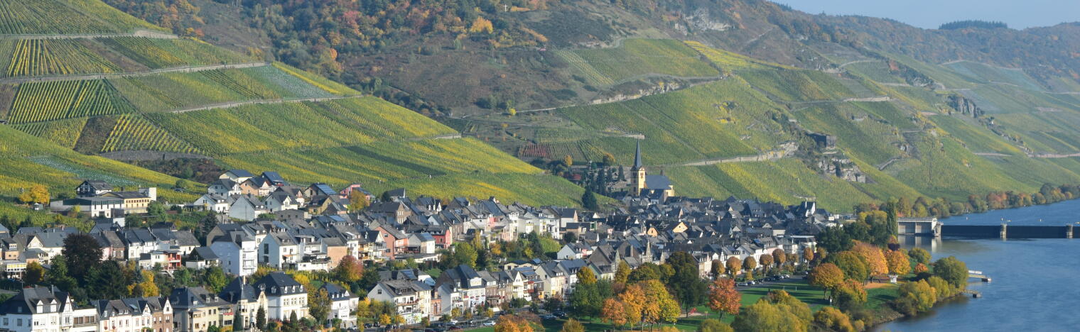 Weingut Leo´s