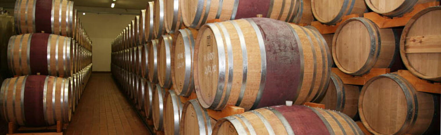 Weingut Latium Morini
