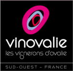 Logo von Vinovalie