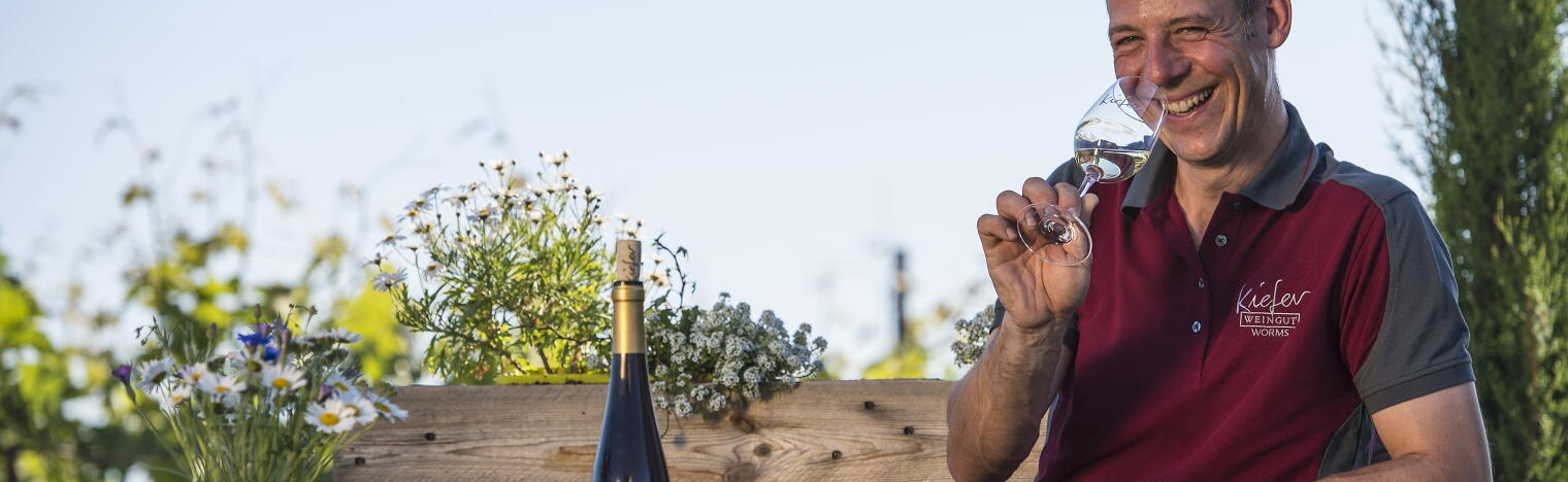 Weingut Jonas Kiefer