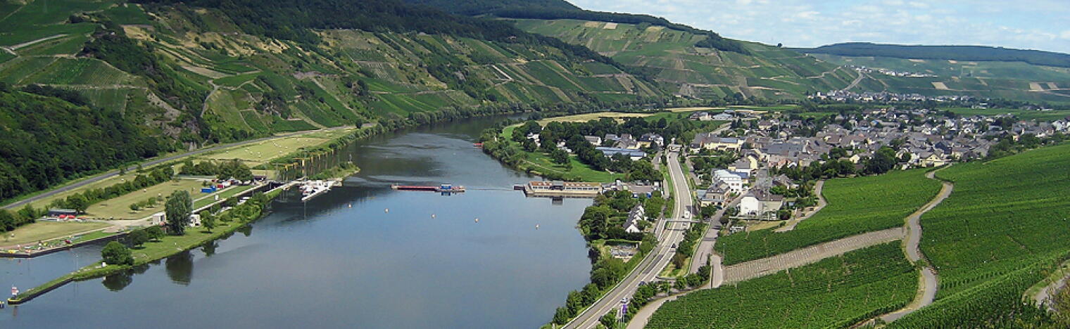 Weingut Quint