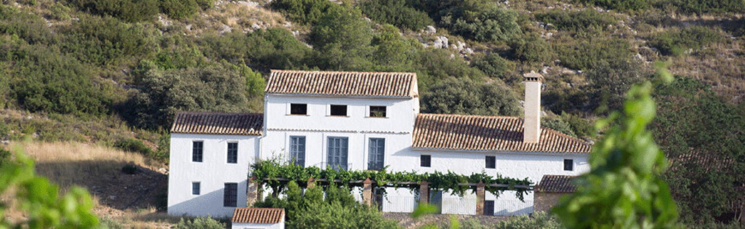 Bodegas Enguera