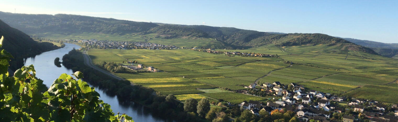 Weingut Thomas Krämer