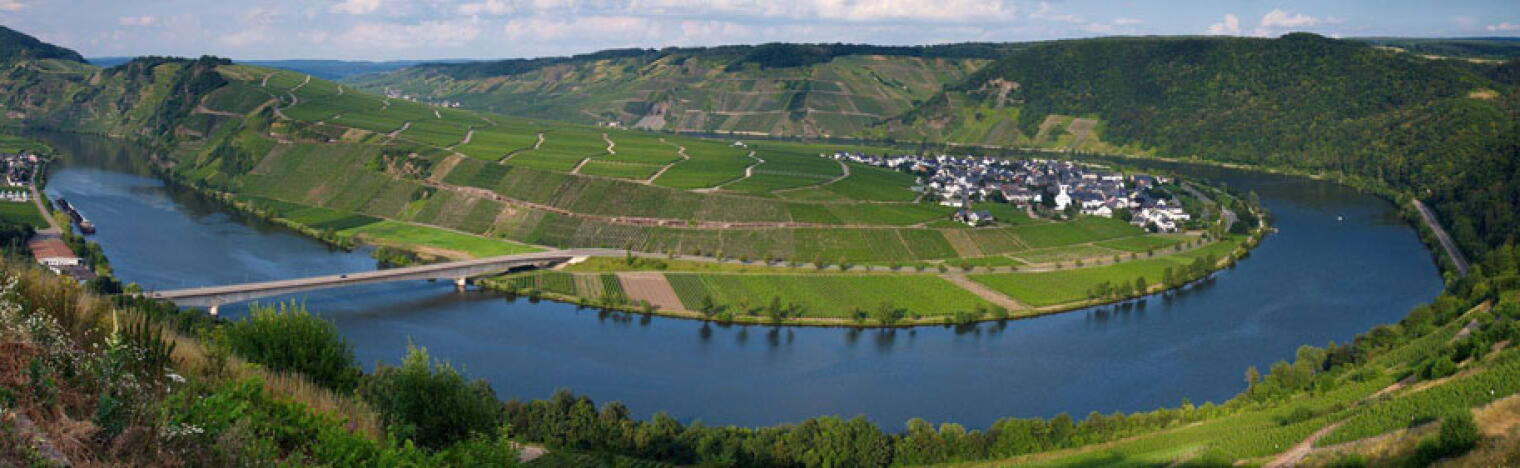 Weingut Thielen-Feilen