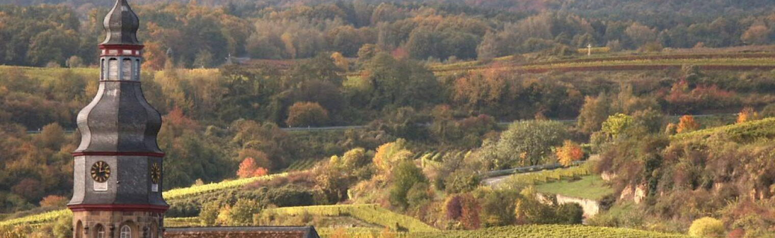 Weingut Koch