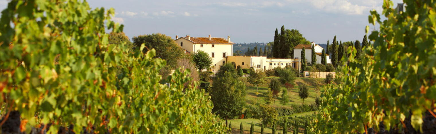 Weingut Cantine Leonardo da Vinci